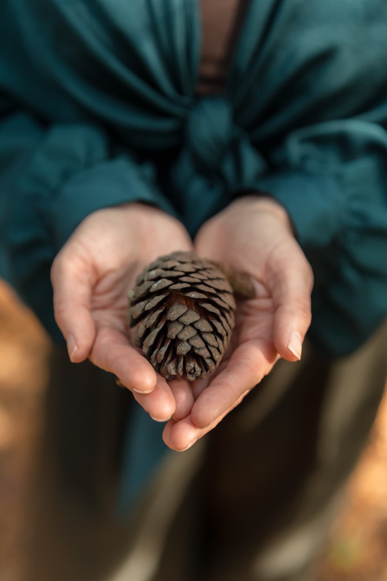 Gemma holding a pine cone gently in cupped hands